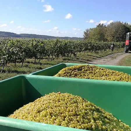 Séjour à la campagne Winzerhof Spengler *