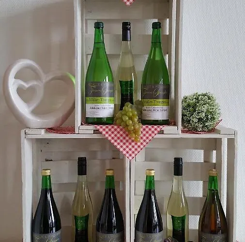 Winzerhof Spengler カントリーハウス Külsheim